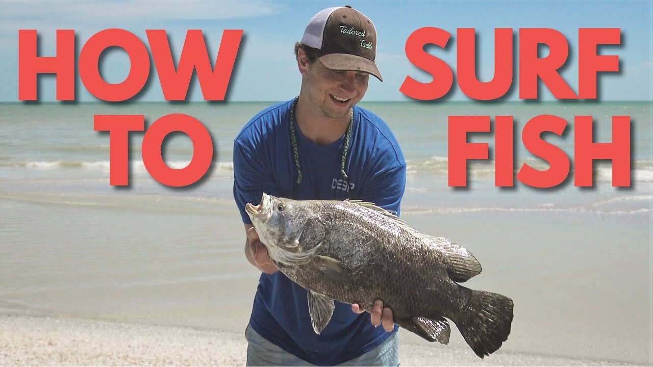 A Comprehensive Guide to Surf Fishing for Beginners